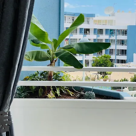 Apartment Estrella *