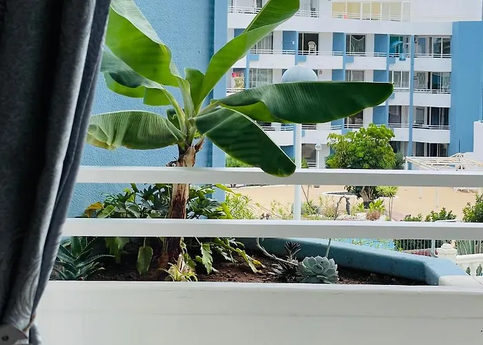Apartament Estrella *