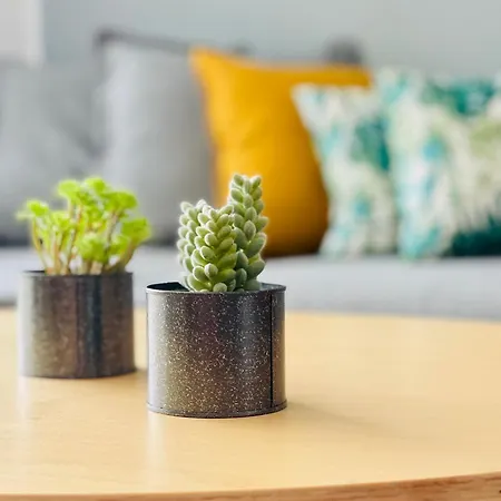 Apartment Estrella *